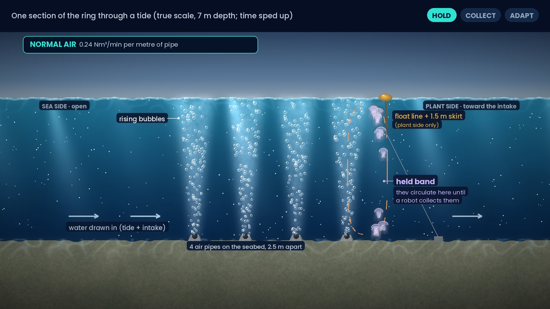 Illustration, one section of the bubble ring in cross-section: Normal air: jellyfish circulate in the held band.