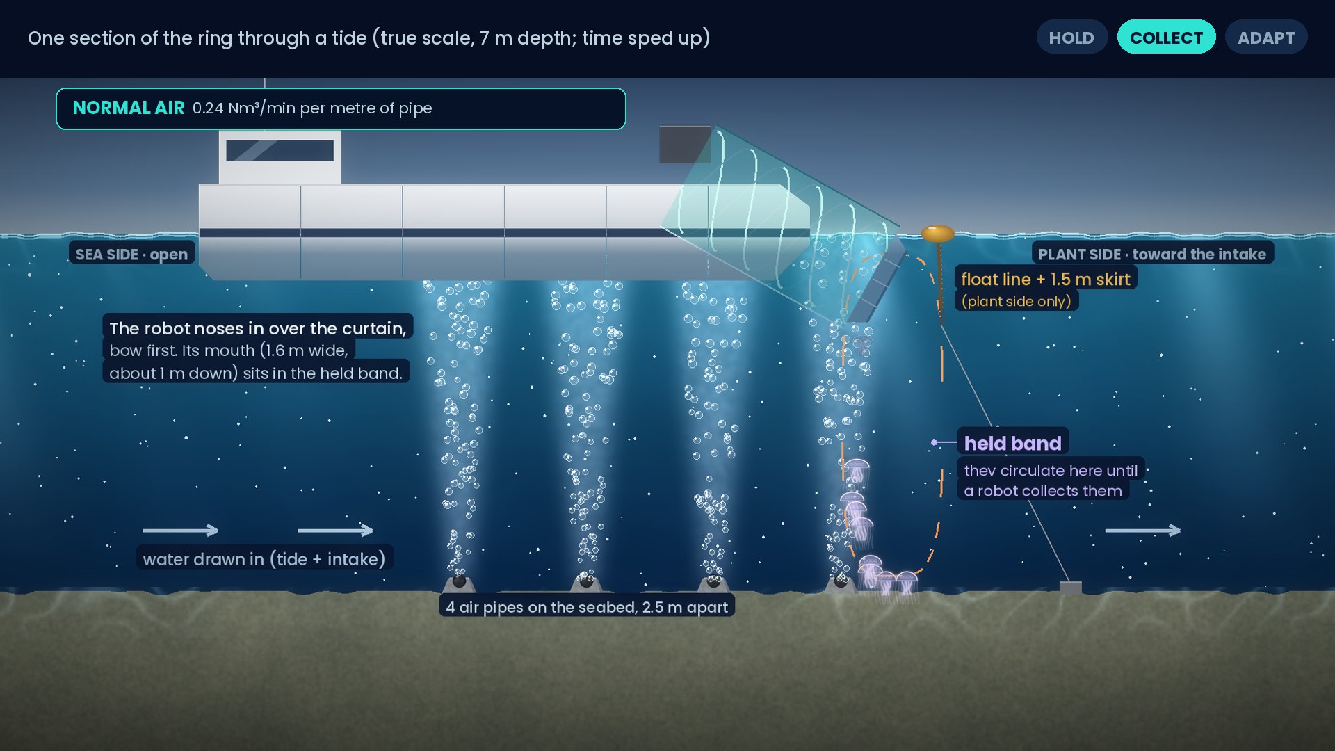 Illustration, one section of the bubble ring in cross-section: A robot noses in over the curtain and lifts them out.
