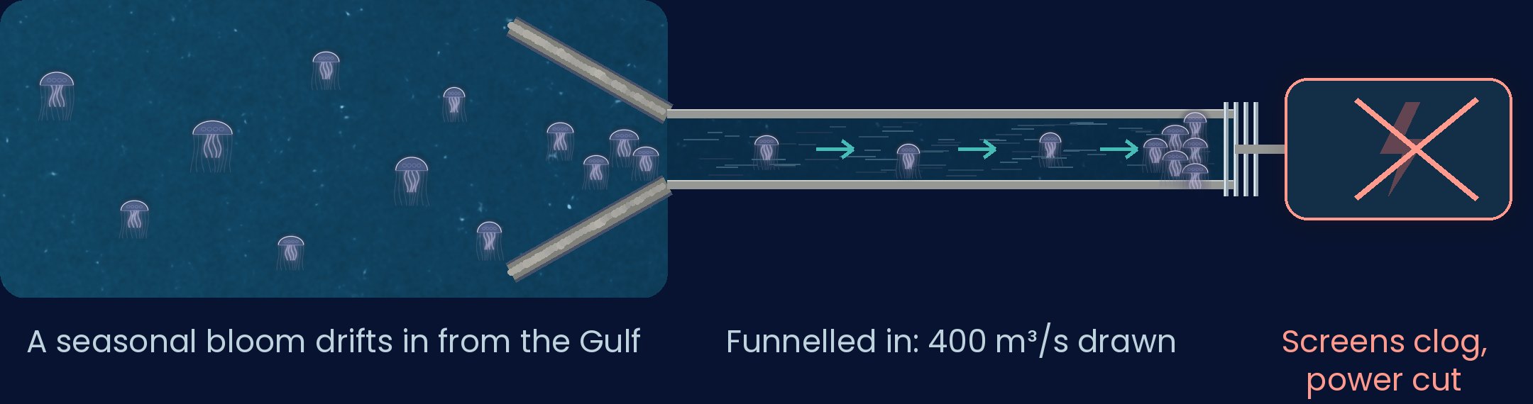 Illustration of how a bloom reaches the screens: a seasonal bloom drifts in from the Gulf, is funnelled in with the 400 m³/s the plant draws, and clogs the screens, cutting power.